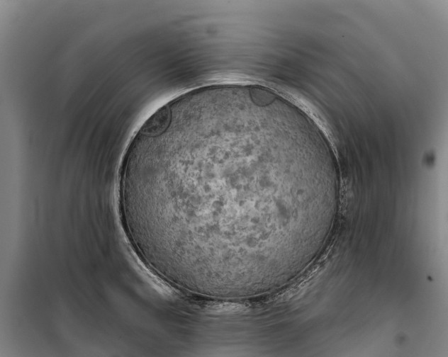 X0000101161187200807111021