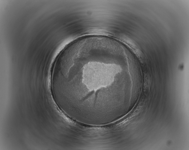 X0000101161188200807111021