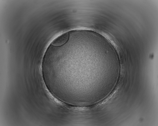 X0000101161189200807111021