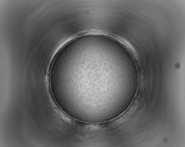 X0000101161190200807111021