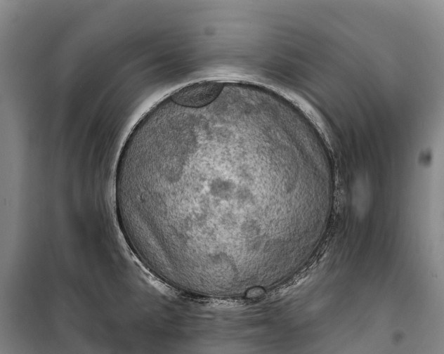 X0000101161191200807111021