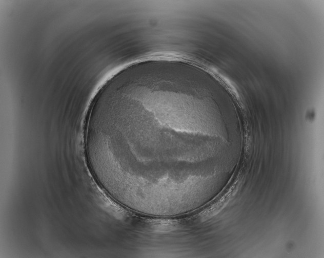 X0000101161192200807111021