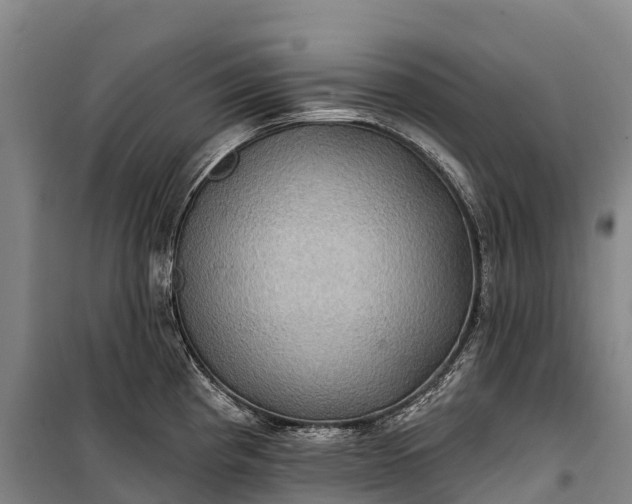 X0000101161193200807111021