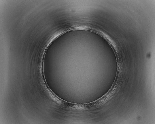 X0000101161194200807111021