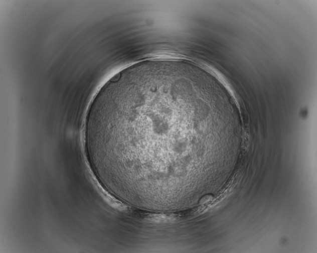 X0000101161195200807111021