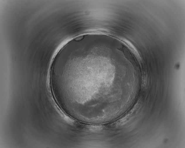 X0000101161196200807111021