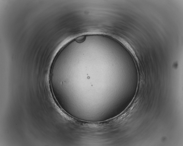 X0000101161197200807111021