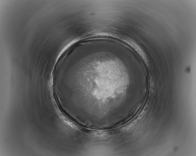 X0000101161198200807111021