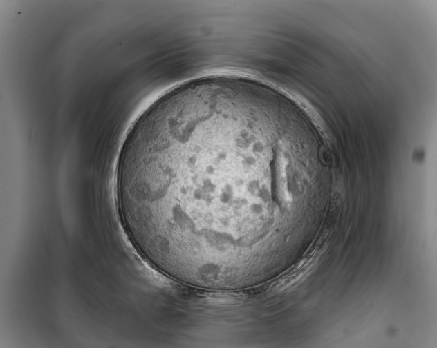 X0000101161199200807111021