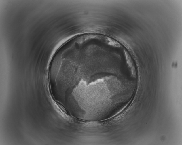 X0000101161200200807111021