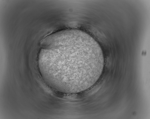 X0000101161201200807111020