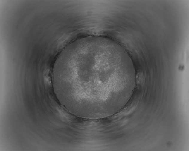 X0000101161202200807111020