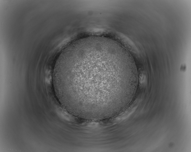 X0000101161204200807111020