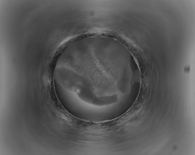 X0000101161206200807111020