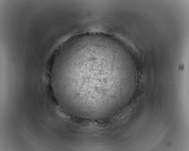 X0000101161207200807111020