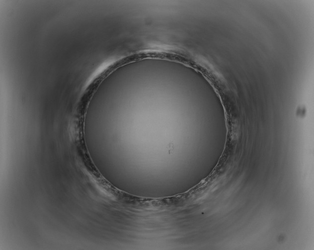 X0000101161208200807111020