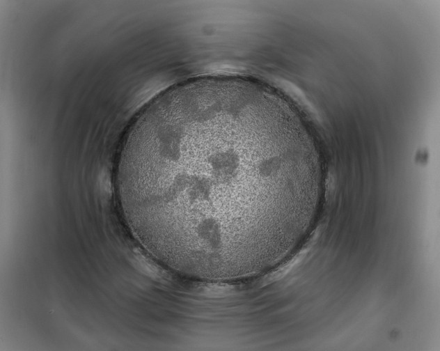 X0000101161209200807111020