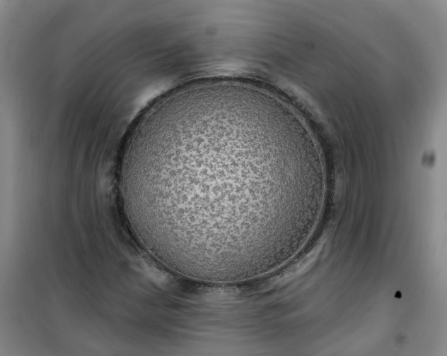 X0000101161210200807111020