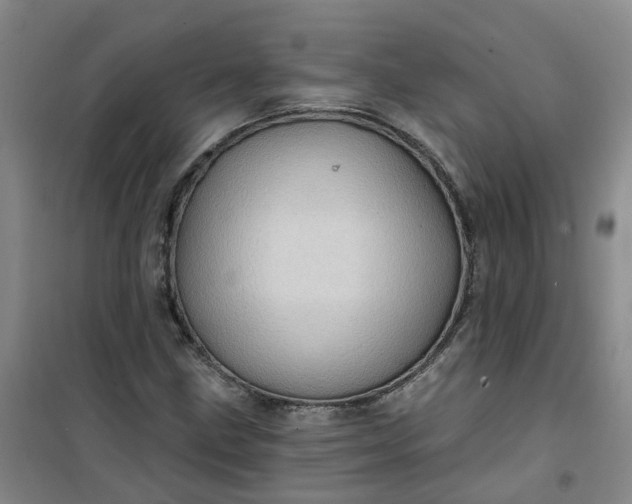 X0000101161211200807111020