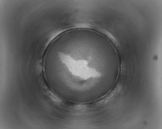 X0000101161212200807111021