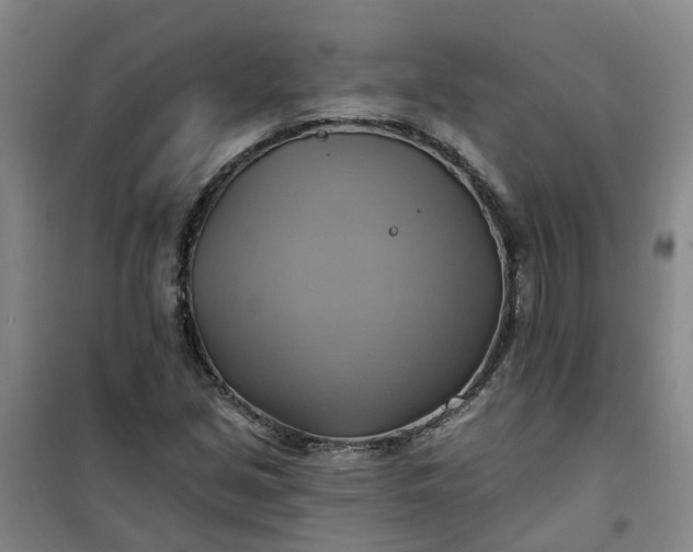 X0000101161213200807111021