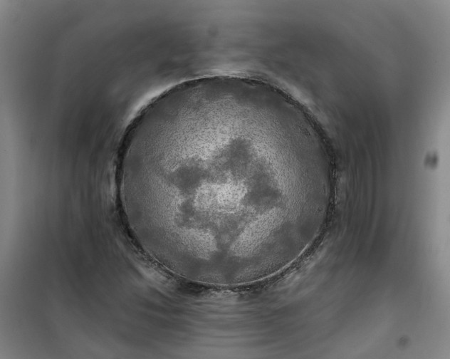 X0000101161214200807111021