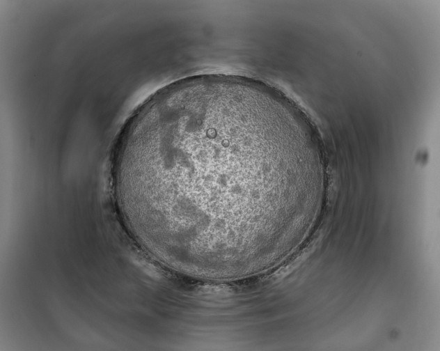 X0000101161215200807111021