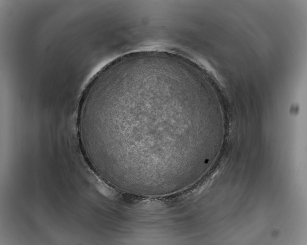 X0000101161216200807111021