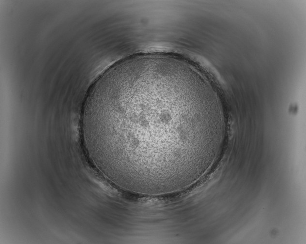 X0000101161217200807111021