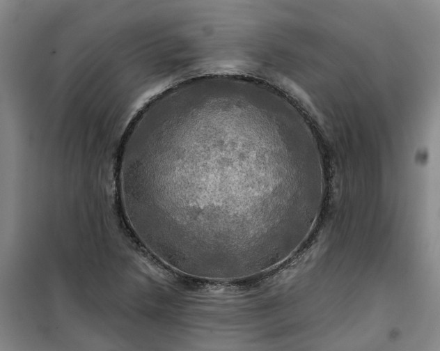 X0000101161218200807111021