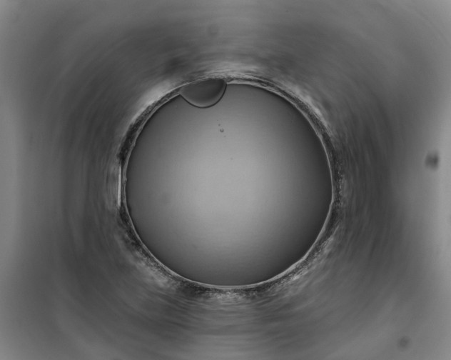 X0000101161219200807111021