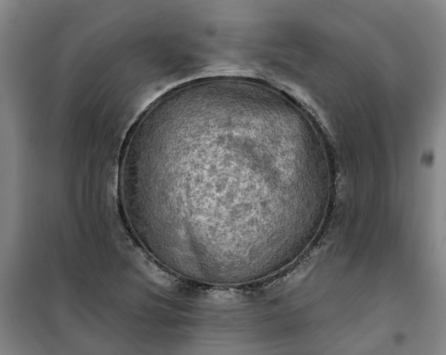 X0000101161220200807111021