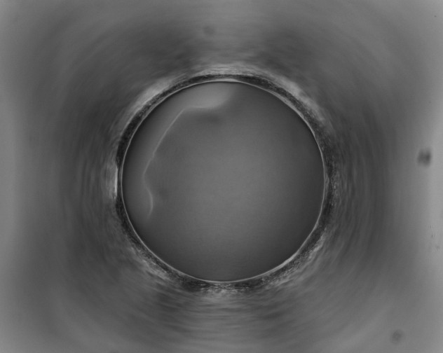 X0000101161221200807111021