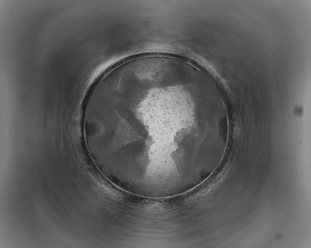 X0000101161222200807111021