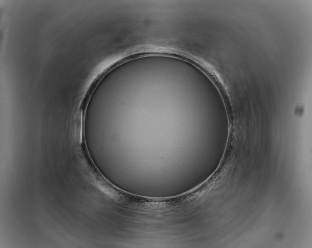 X0000101161223200807111021