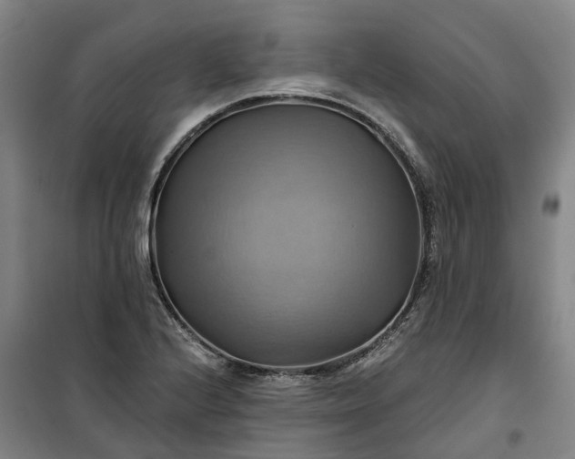 X0000101161224200807111021