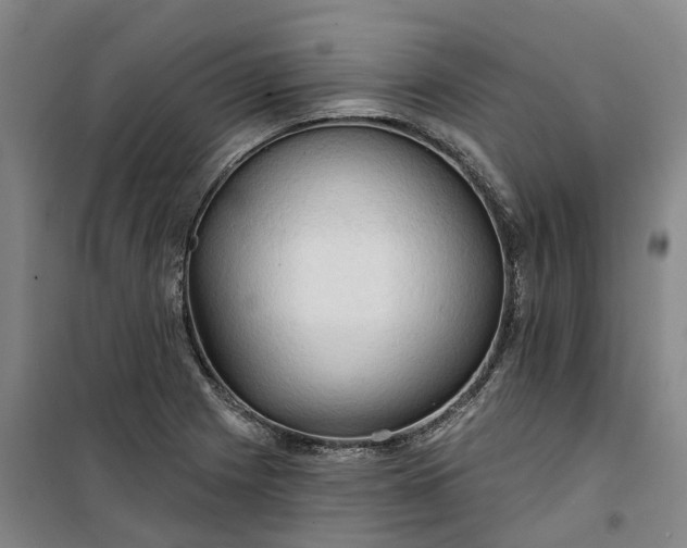 X0000101161225200807111021