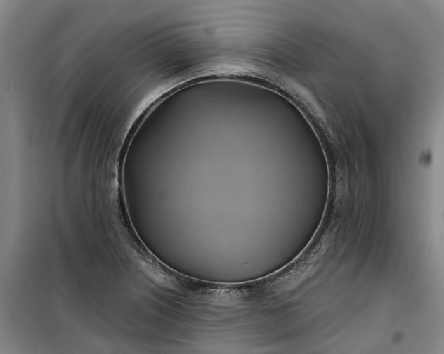 X0000101161226200807111021