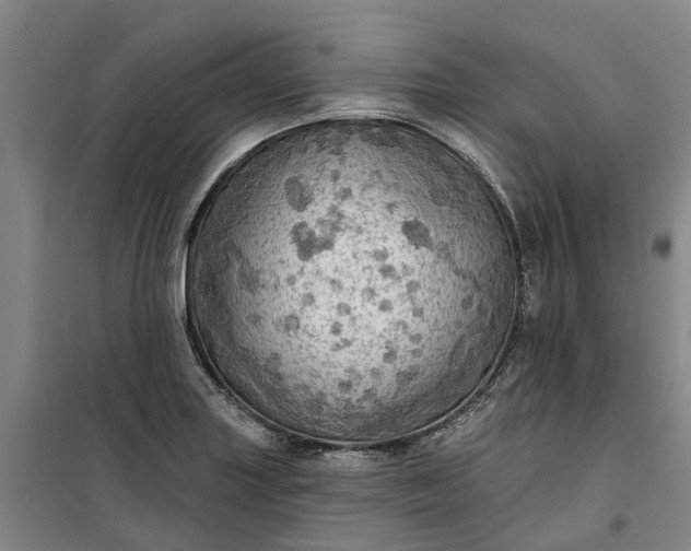 X0000101161227200807111021