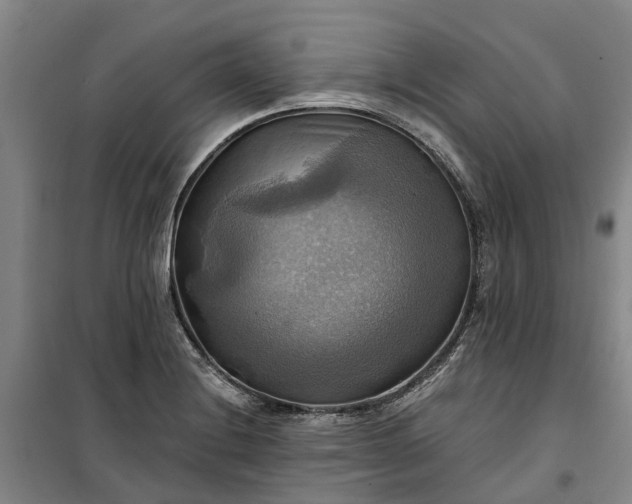 X0000101161228200807111021