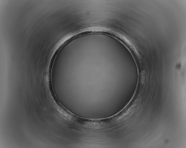 X0000101161229200807111021