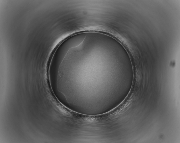 X0000101161230200807111021