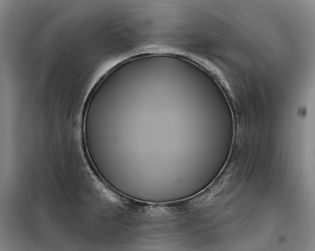 X0000101161231200807111021