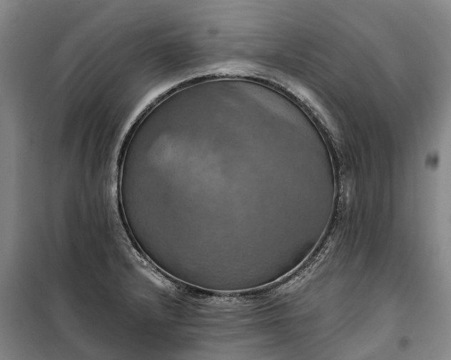 X0000101161232200807111021