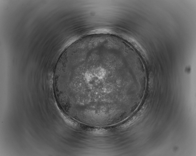 X0000101161233200807111021