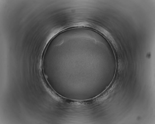 X0000101161234200807111021