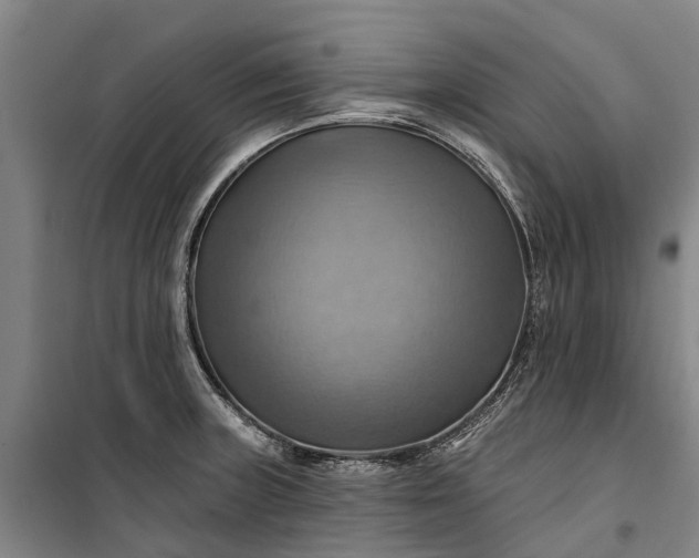 X0000101161235200807111021