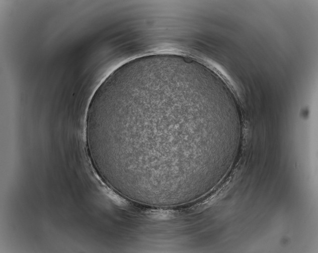 X0000101161236200807111021