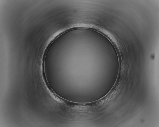 X0000101161237200807111021