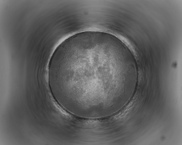 X0000101161238200807111021